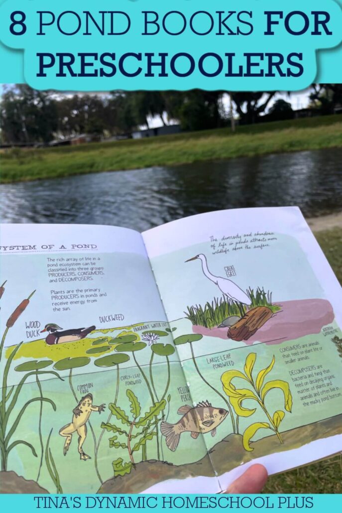 8 Engaging Pond Books for Preschoolers Who Love Pond Animals