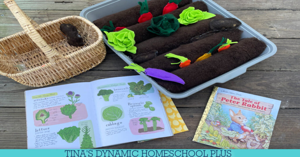 8 Peter Rabbit Garden Ideas | How To Make A Preschool Garden Box