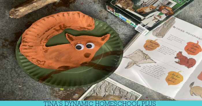 Fascinating Life of Red Squirrels | Paper Plate Squirrel Craft