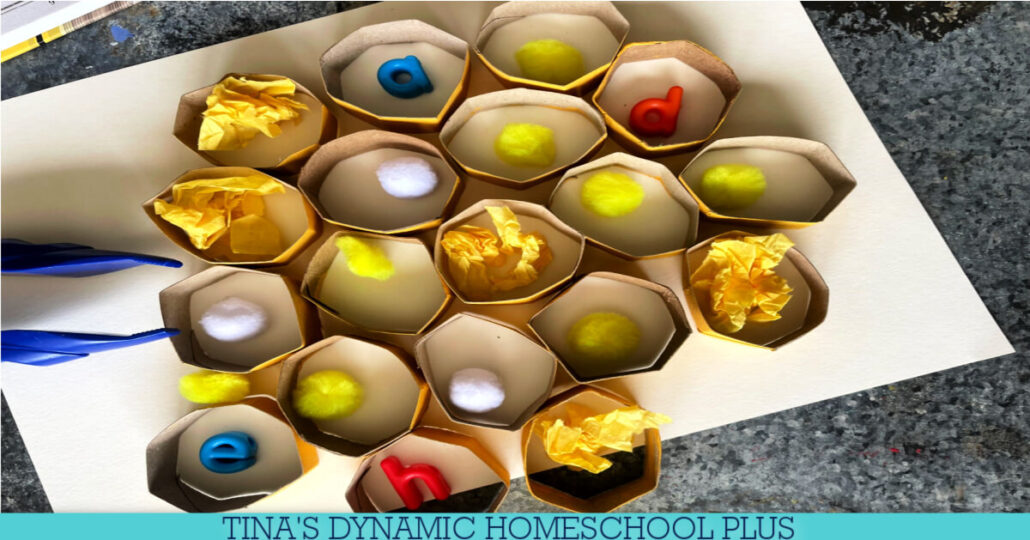 How to Make a Toilet Paper Roll Honeycomb Honey Bee Activity