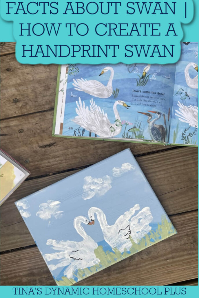 7 Fun Facts About Swan | How to Create a Handprint Swan