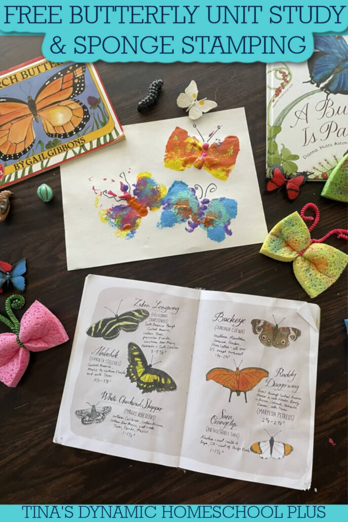 Free Butterfly Unit Study For Kids and Fun Sponge Stamping