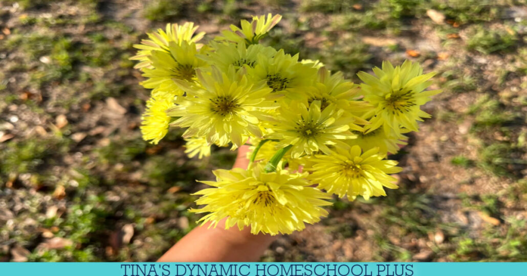 Art of Foraging | How to Make A Dandelion Kids Activity Soap