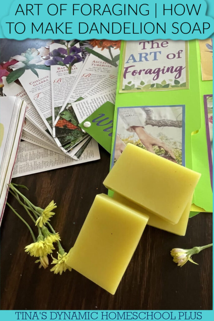 Art of Foraging | How to Make A Dandelion Kids Activity Soap