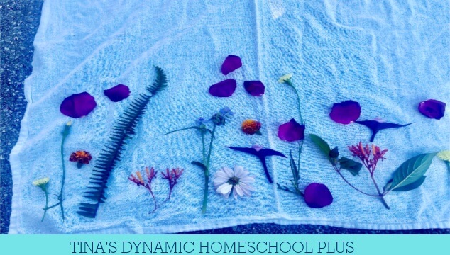 Are Daisies Wildflowers | How to Make a Wildflower Pounding Craft