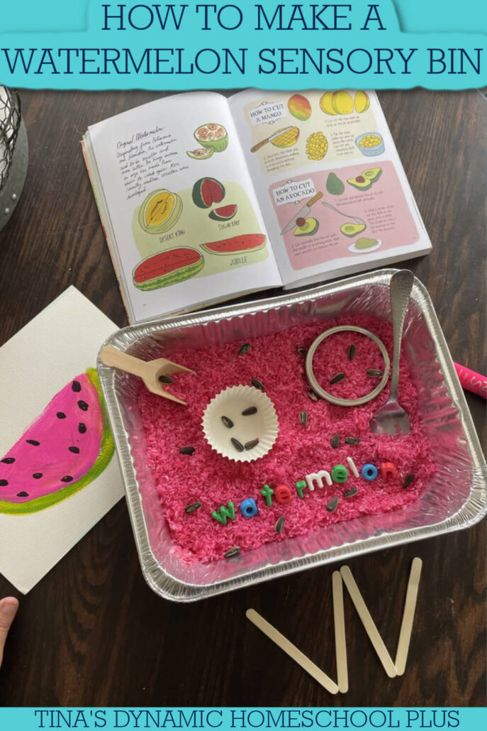 How to Make a Watermelon Sensory Bin for Play and Learning
