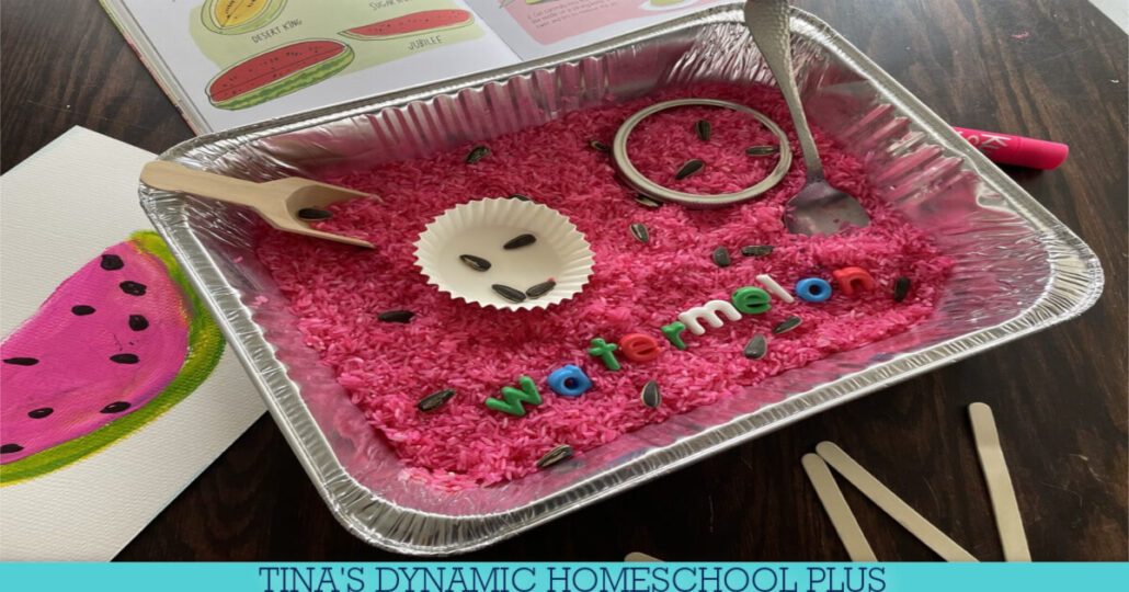 How to Make a Watermelon Sensory Bin for Play and Learning