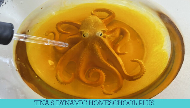 Under the Sea Science Activities With Amazing Disappearing Octopus Ink