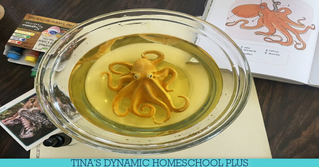 Under the Sea Science Activities With Amazing Disappearing Octopus Ink