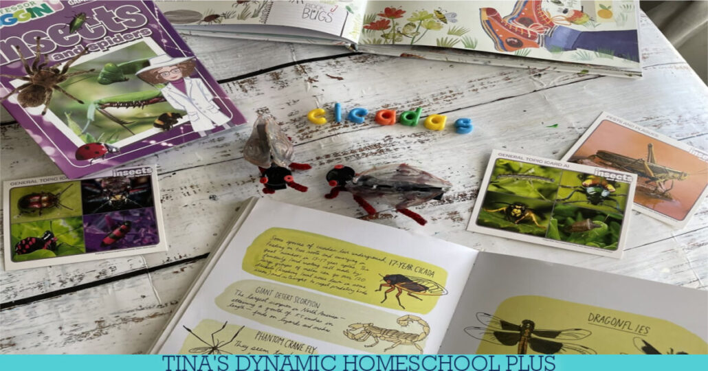 4 Cicada Insect Fun Facts For Kids | How to Make A Cicada Clothespin Craft