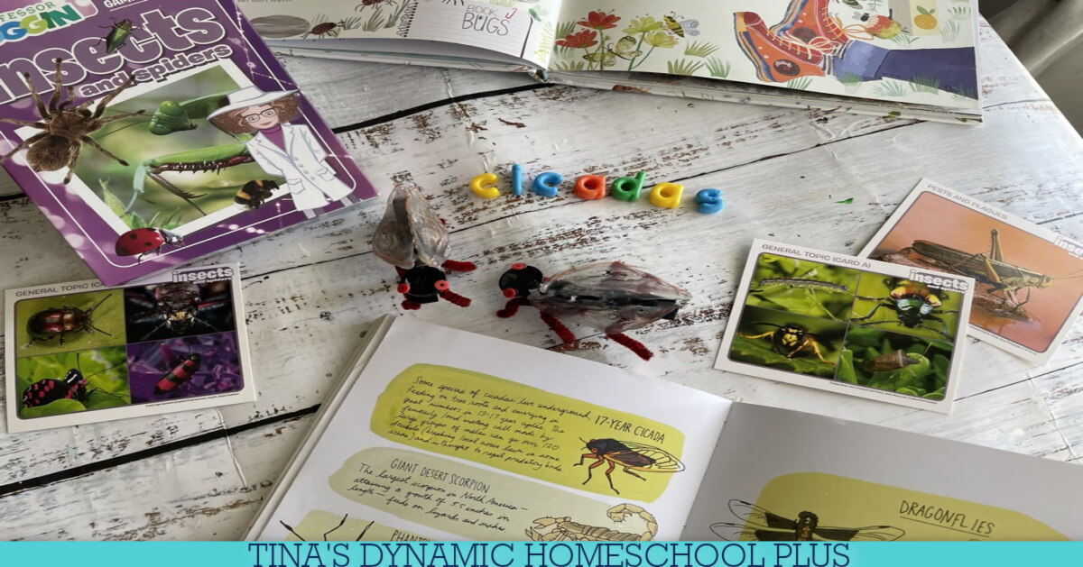 4 Cicada Insect Fun Facts For Kids | How to Make A Cicada Clothespin Craft