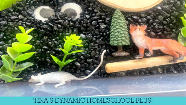 Discover The Magic Of Nocturnal Creatures | Nocturnal Animal Sensory Bin