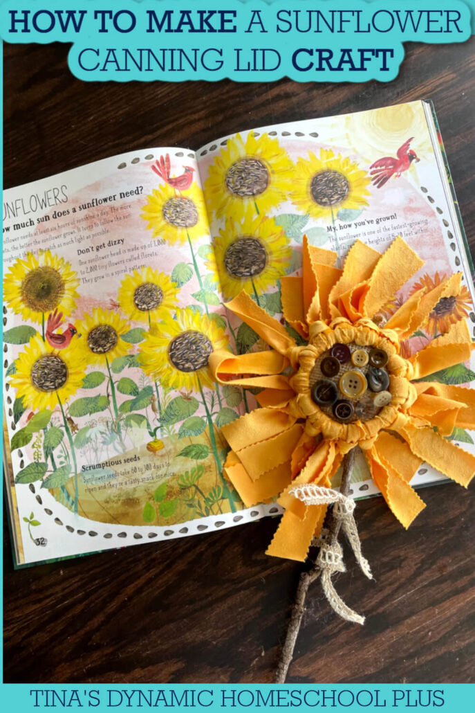 Is Sunflower A Wildflower | How to Make a Canning Lid Craft