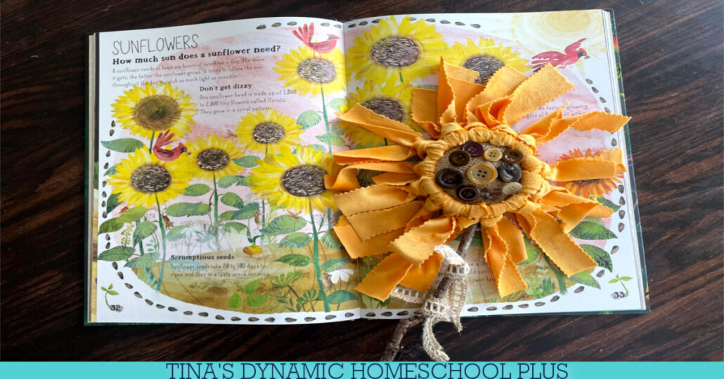 Is Sunflower A Wildflower | How to Make a Canning Lid Craft