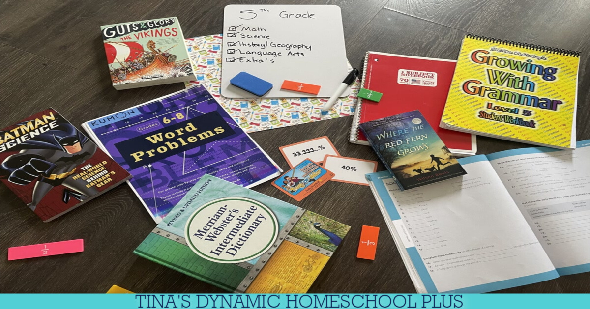 The Best Fifth Grade Homeschool Curriculum | Tips and Recommendations