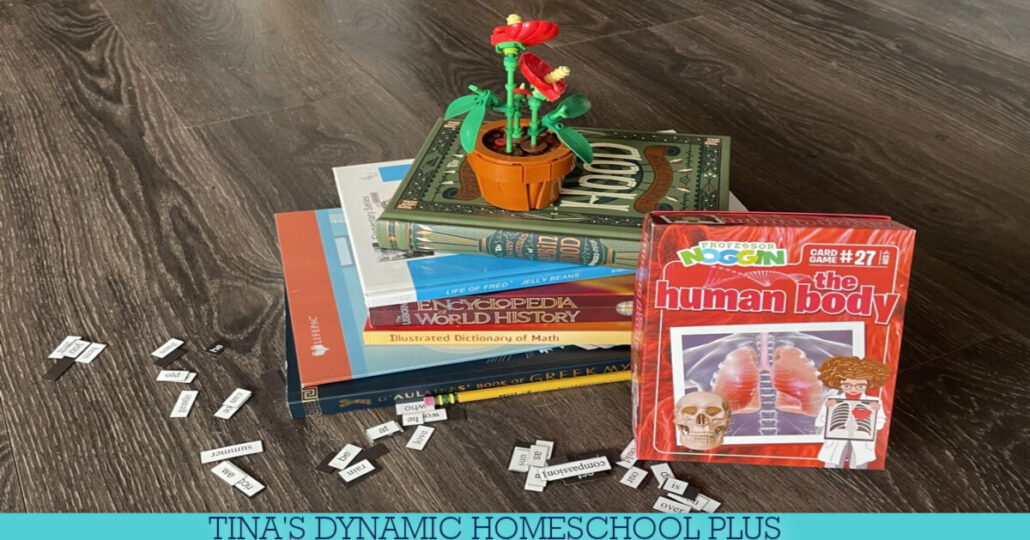 The Best Sixth Grade Homeschool Curriculum | Tips and Recommendations