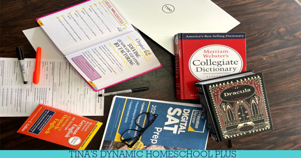 The Best Tenth Grade Homeschool Curriculum | Tips and Recommendations