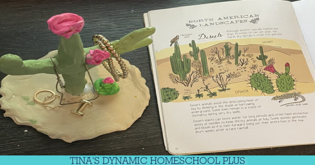 7 Desert Crafts For Kids: How To Make A Clay Cactus Jewelry Holder