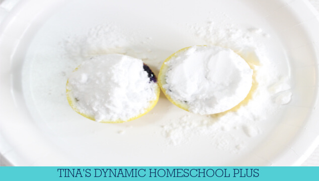 Amazing Volcano Facts For Kids & Awesome Lemon Volcano Experiment