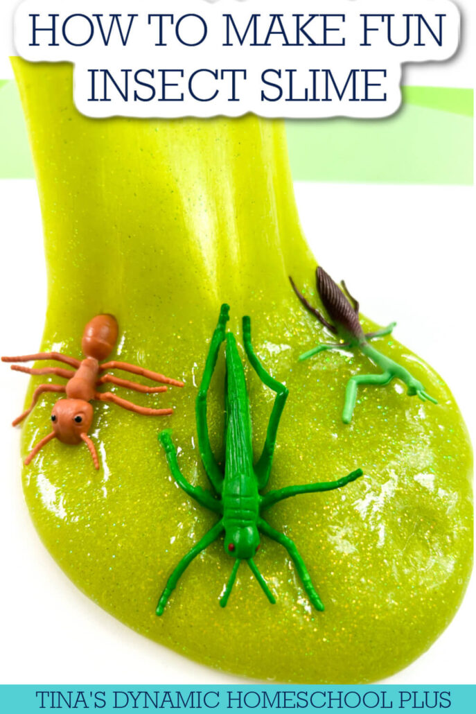 Fascinating Insect Incredible Slime: A Kids’ Guide To Nature’s Goo