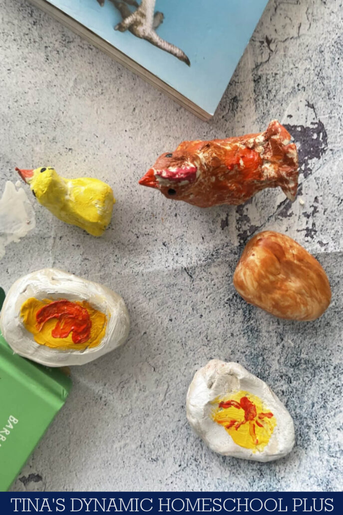 Free Chicken Life Cycle Worksheet For Kids & Hands-on Activity