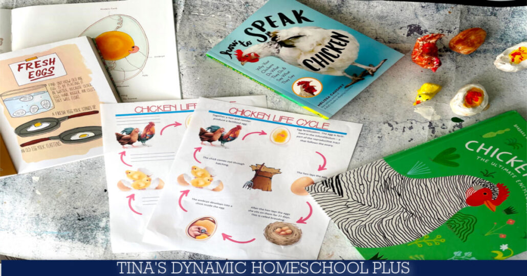 Free Chicken Life Cycle Worksheet For Kids & Hands-on Activity