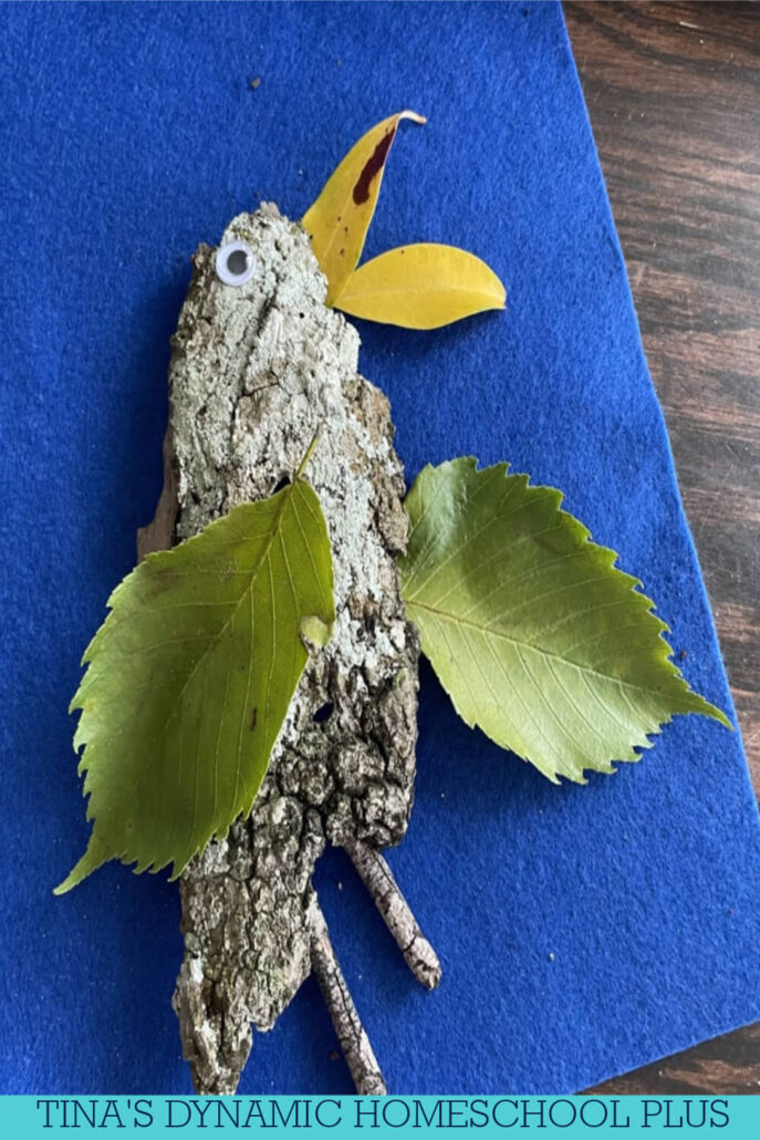 From Forest to Fun: Unique Crafts With Tree Bark