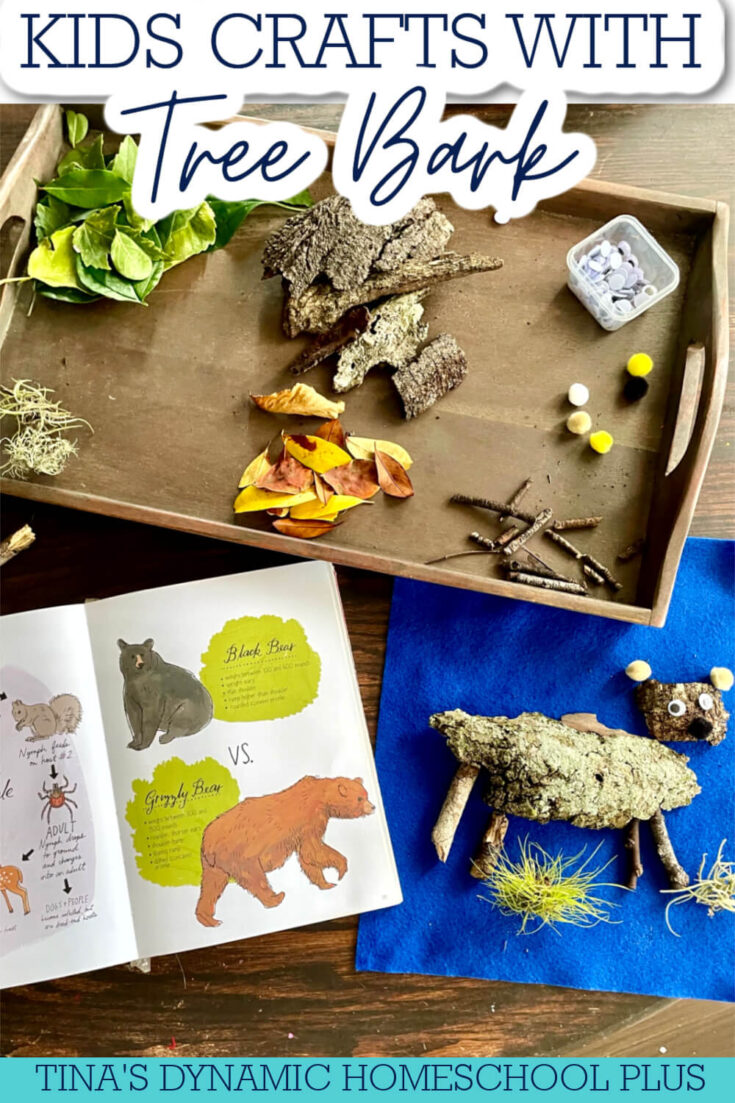 Fall Nature Crafts & How To Make A Pumpkin Nature Collage