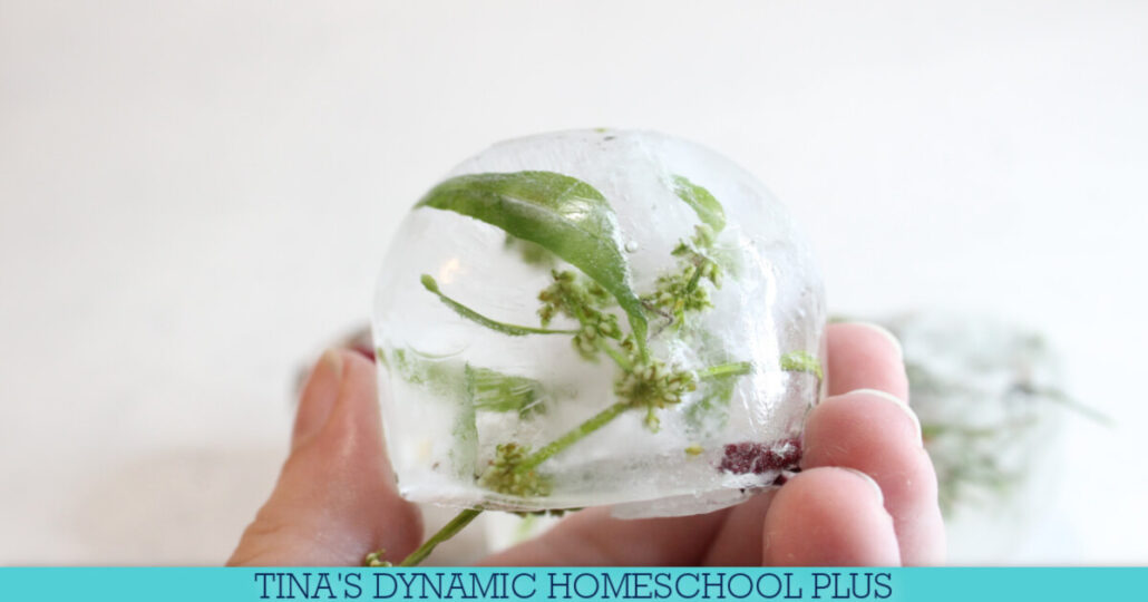 Fun Ice For Kids Inexpensive & Easy Nature Sensory Activity