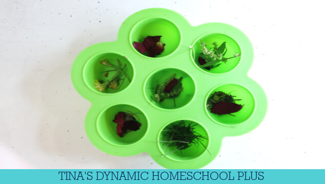 Fun Ice For Kids Inexpensive & Easy Nature Sensory Activity