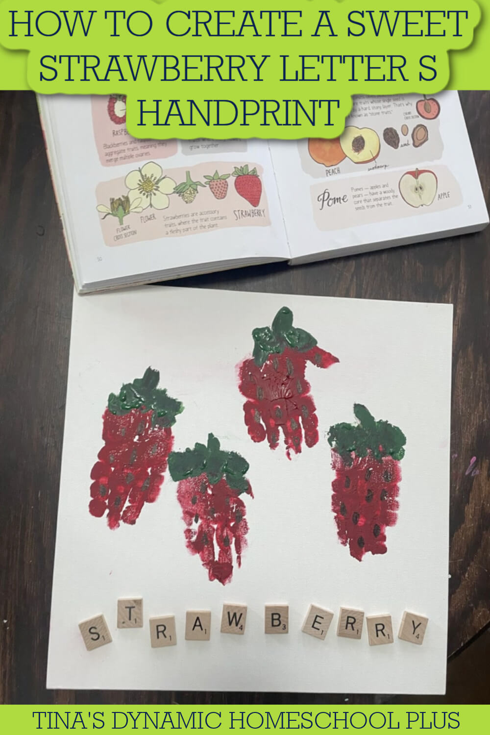 How To Create A Sweet Strawberry Letter S Handprint Craft