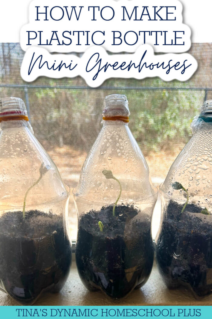 How To Make Plastic Bottle Little Greenhouses | 5 Plastic Bottle Craft ...