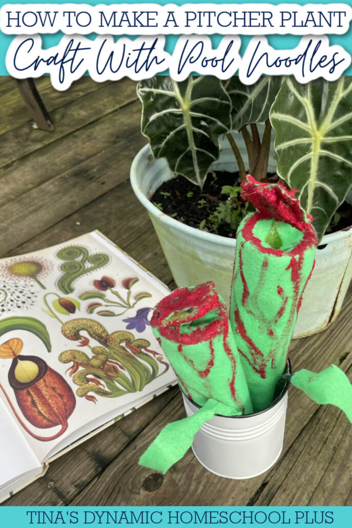 How to Make a Fun Pitcher Plant Craft With Pool Noodles