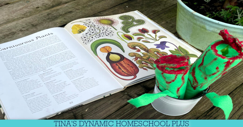 How to Make a Fun Pitcher Plant Craft With Pool Noodles