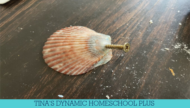 How to Make an Ocean-Inspired Sea Shell Necklace | 8 Summer Beach Crafts