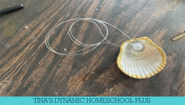 How to Make an Ocean-Inspired Sea Shell Necklace | 8 Summer Beach Crafts