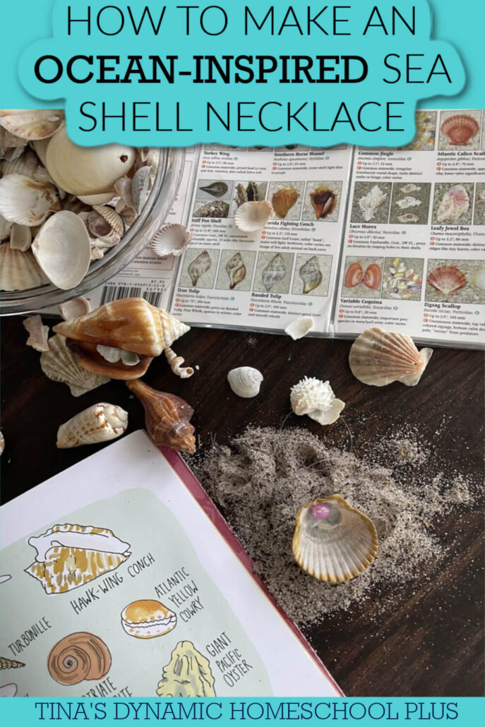 How to Make an Ocean-Inspired Sea Shell Necklace | 8 Summer Beach Crafts