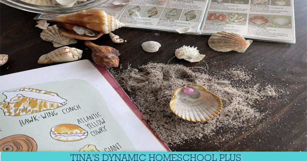 How to Make an Ocean-Inspired Sea Shell Necklace | 8 Summer Beach Crafts