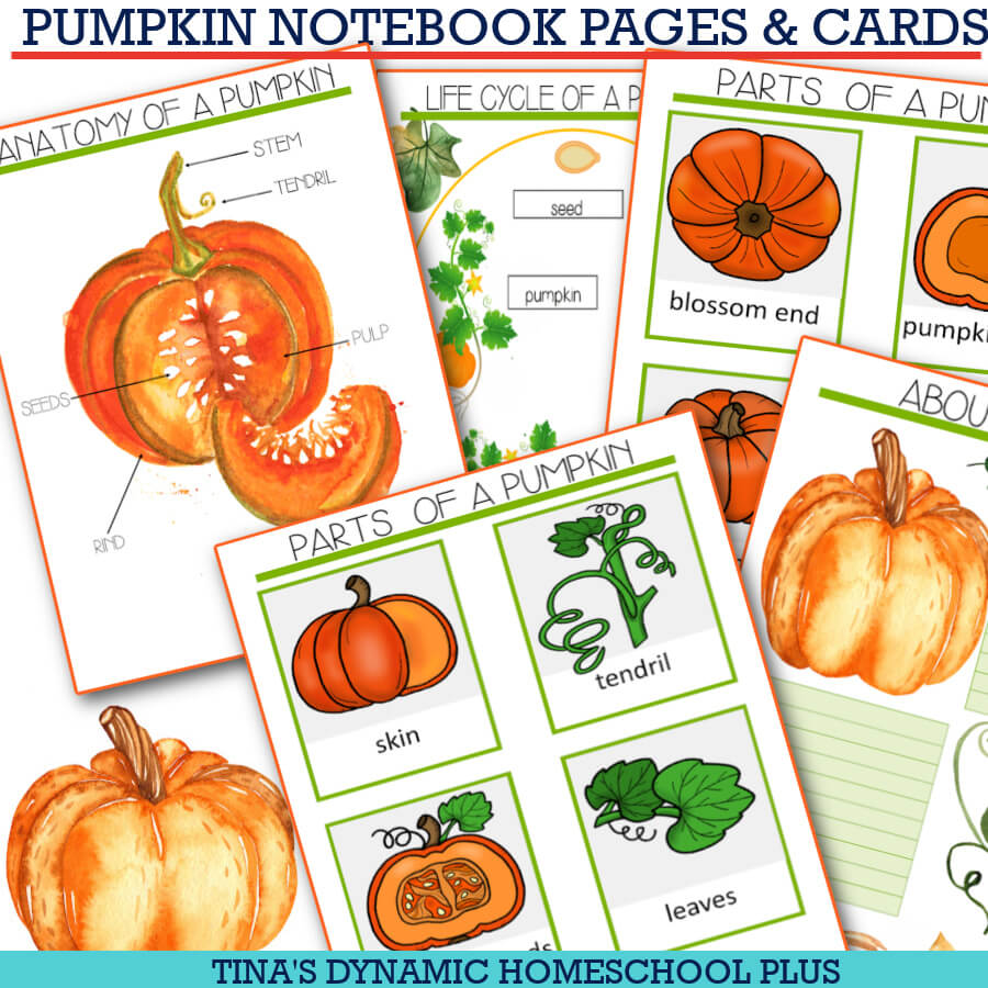 How to Turn a Pumpkin Lapbook into a Fun Unit Study