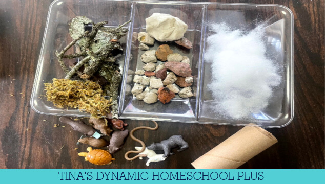 Fun and Easy Preschool Hibernation Science Activities to Nurture Learning