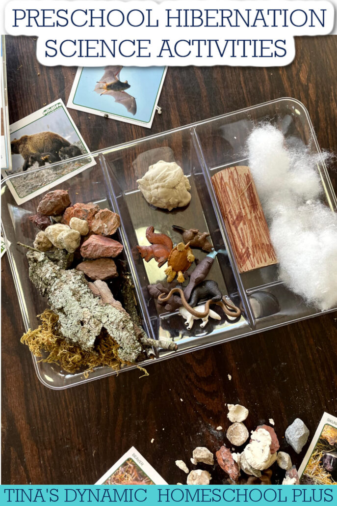 Fun and Easy Preschool Hibernation Science Activities to Nurture Learning