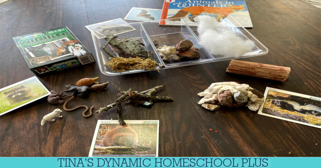 Fun and Easy Preschool Hibernation Science Activities to Nurture Learning