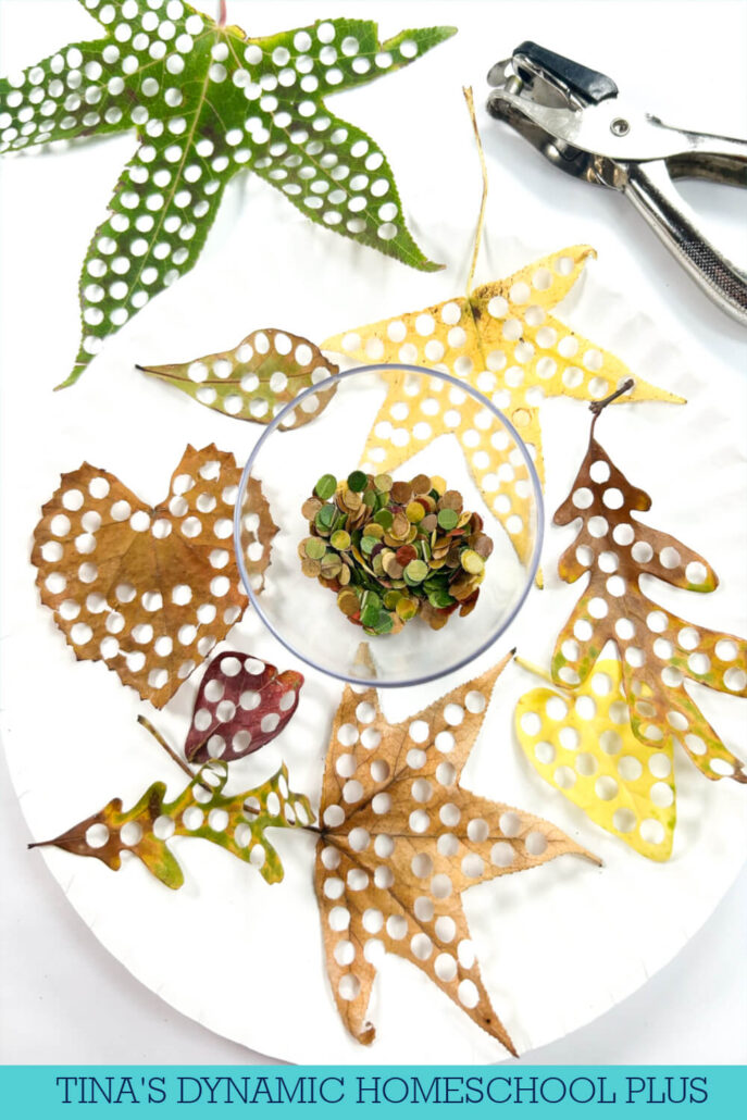 How To Make Confetti Fall Leaves Crafts For Preschoolers