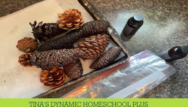 How to Create Scented Pinecone Crafts for Fall With Kids