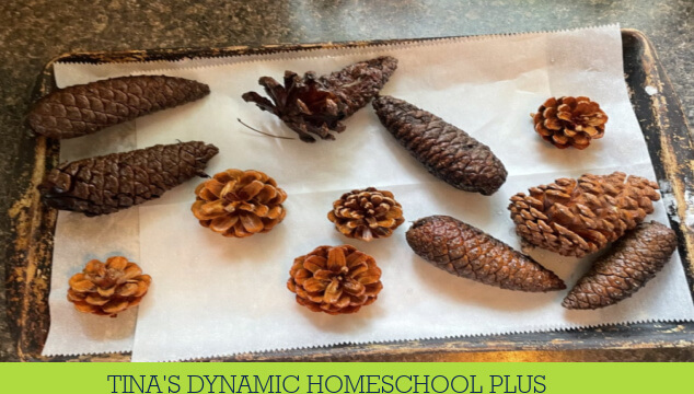 How to Create Scented Pinecone Crafts for Fall With Kids