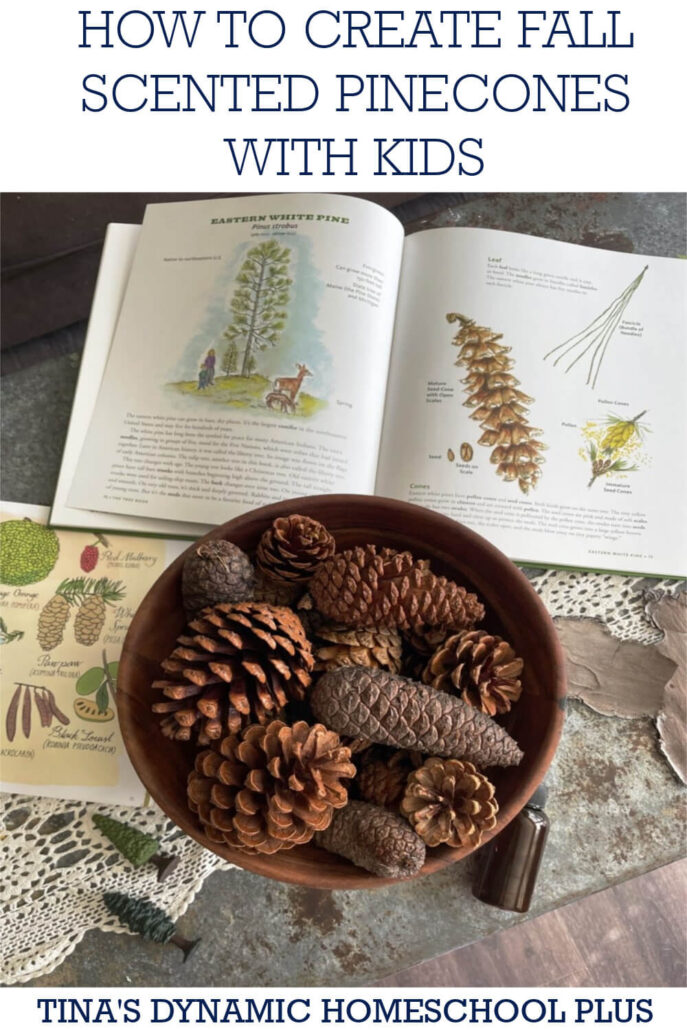 How to Create Scented Pinecone Crafts for Fall With Kids