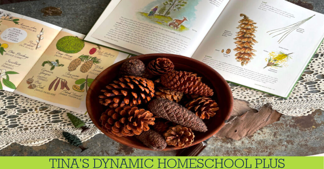 How to Create Scented Pinecone Crafts for Fall With Kids