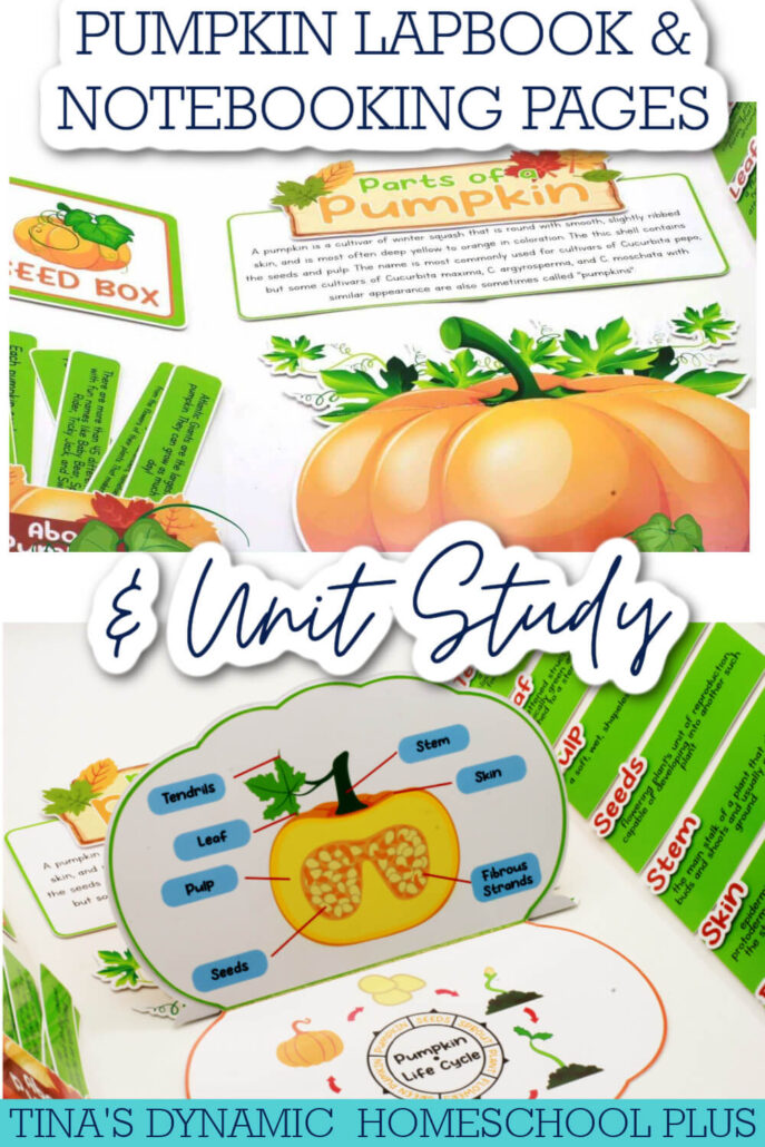 Pumpkin Anatomy | Kids Exploring the Parts of a Pumpkin And Printables