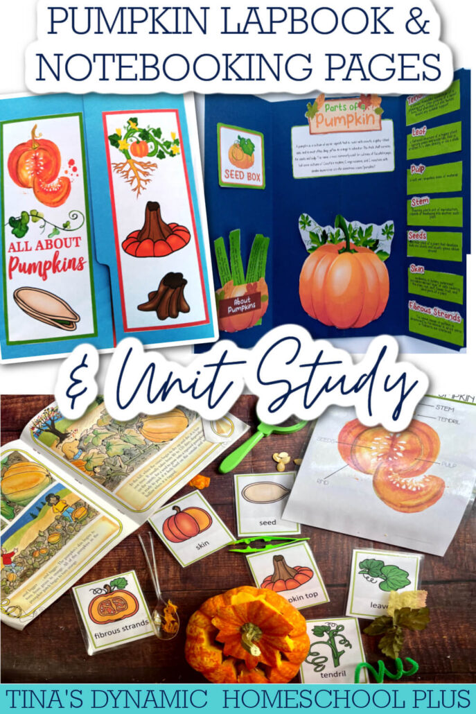 How to Turn a Pumpkin Lapbook into a Fun Unit Study