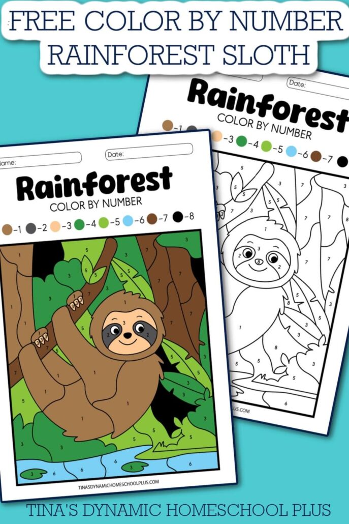 The Wonders of Nature: Free Color by Number Sloth Rainforest Habitat Page